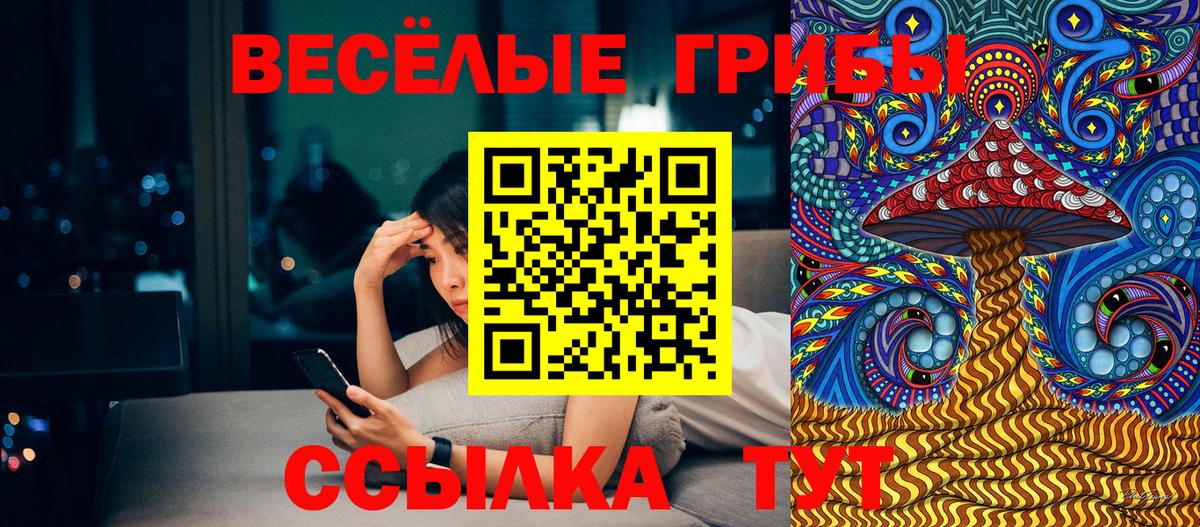 Канаш  Галлюциногенные грибы GOLDEN TEACHER  Галлюциногенные грибы мухоморы  Вход с VPN 