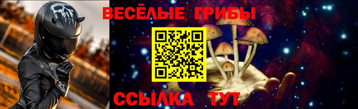 Галлюциногенные грибы Cubensis Канаш